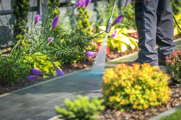 Best Animal Enclosure Cleaning  in Malta, MT