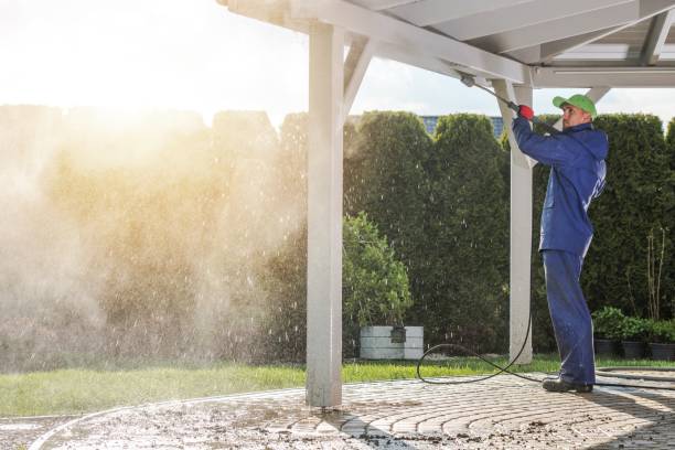 Best Roof Washing  in Malta, MT